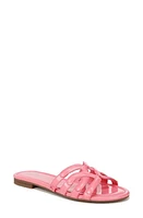 Circus NY by Sam Edelman Cat Slide Sandal at Nordstrom,