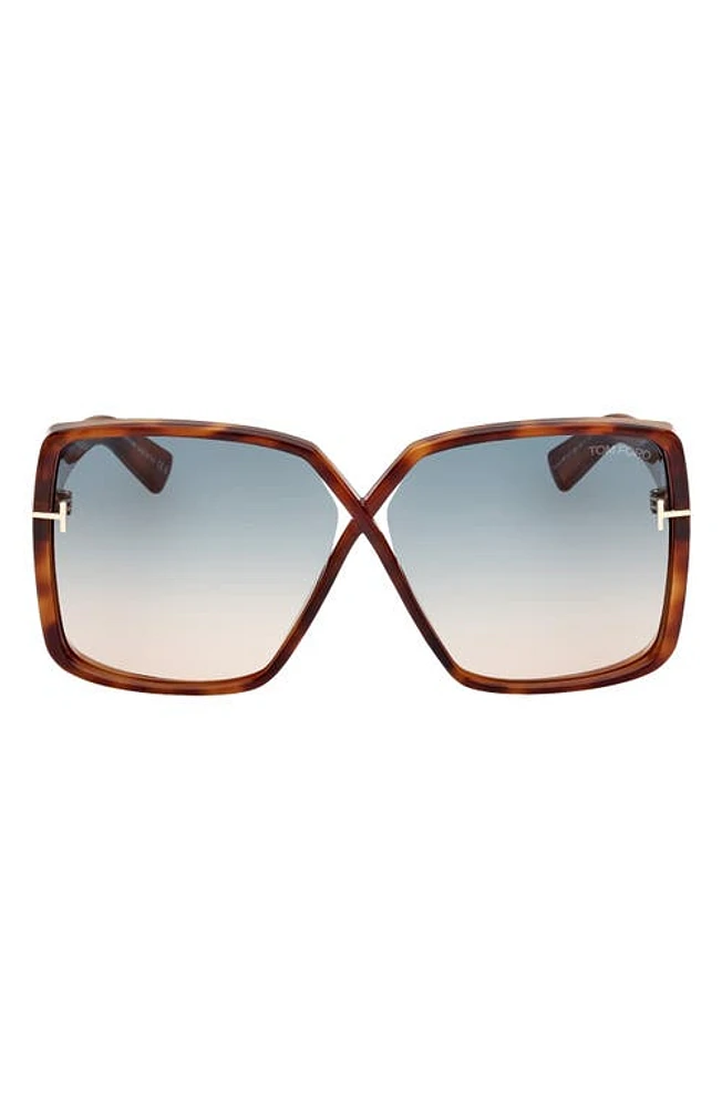 TOM FORD Yvonne 63mm Oversize Gradient Butterfly Sunglasses in Shiny Havana /Turquoise Sand at Nordstrom