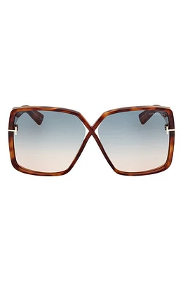 TOM FORD Yvonne 63mm Oversize Gradient Butterfly Sunglasses in Shiny Havana /Turquoise Sand at Nordstrom