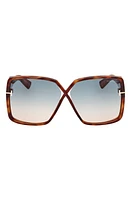 TOM FORD Yvonne 63mm Oversize Gradient Butterfly Sunglasses in Shiny Havana /Turquoise Sand at Nordstrom