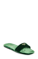 Prada Logo Velvet Slide Sandal Alloro at Nordstrom,