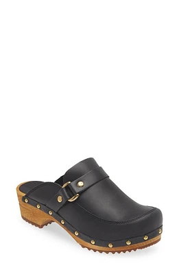 Sanita Lillen Clog at Nordstrom,