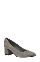 Calvin Klein Lenott Pointed Toe Pump at Nordstrom,