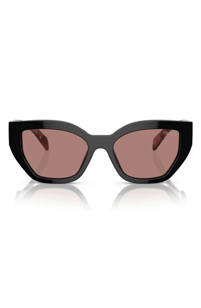 Prada 55mm Butterfly Sunglasses in Lite Brown at Nordstrom