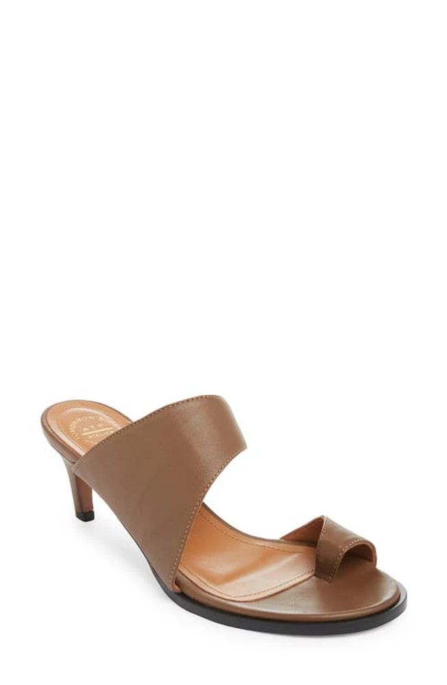 ATP ATELIER Trivento Toe Loop Sandal Khaki Brown at Nordstrom,