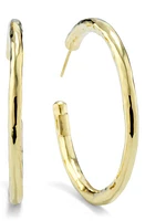 Ippolita Glamazon Classico Medium Hoop Earrings in Gold at Nordstrom