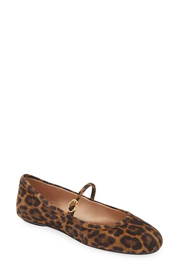 Gianvito Rossi Carla Leopard Print Ballet Flat Almond at Nordstrom,