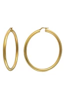 Bony Levy 14K Gold Hoop Earrings in 14K Yellow Gold at Nordstrom