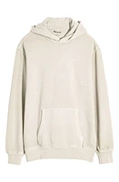 Madewell Woodland Brushed Terry Hoodie Bleached Canvas at Nordstrom,