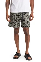 CHECKS Leopard Print Ripstop Climbing Shorts at Nordstrom,