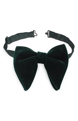 CLIFTON WILSON Velvet Silk Butterfly Bow Tie in Hunter Green at Nordstrom