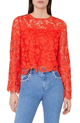 Milly Catelyn Lace Top Coral at Nordstrom,