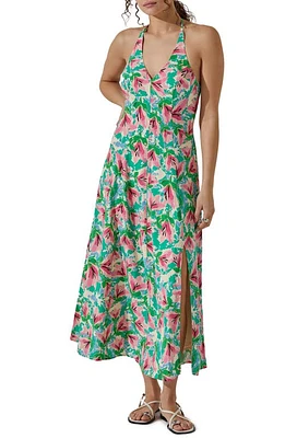 ASTR the Label Floral Print Halter Dress at Nordstrom,