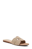 Birdies Kiwi Slide Sandal Raffia at Nordstrom,