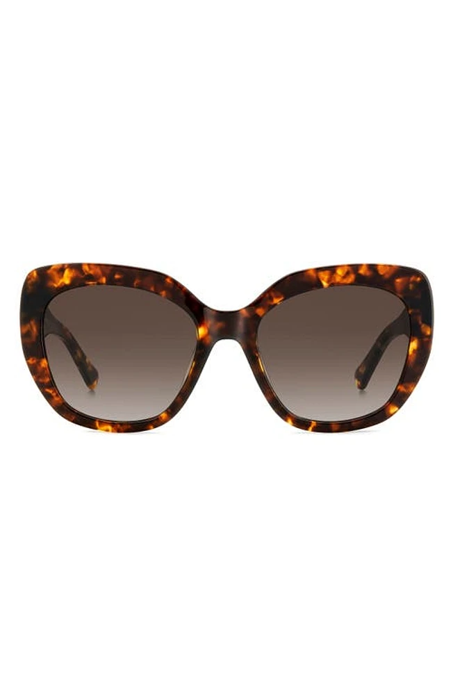 Kate Spade New York winslet 55mm gradient round sunglasses in Havana/Brown Gradient at Nordstrom