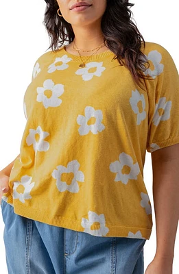 Sanctuary Sunny Days Print Sweater at Nordstrom,