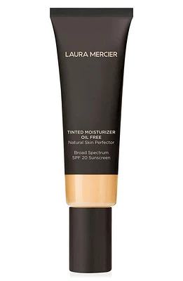 Laura Mercier Tinted Moisturizer Oil Free Natural Skin Perfector SPF 20 in 1W1 Porcelain at Nordstrom