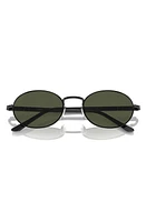 Persol Ida 55mm Oval Sunglasses in Black at Nordstrom