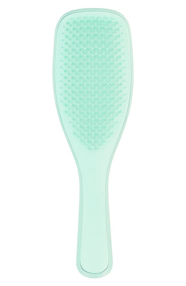 Tangle Teezer The Fine & Fragile Ultimate Detangler Brush in Jade Lagoon at Nordstrom