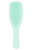 Tangle Teezer The Fine & Fragile Ultimate Detangler Brush in Jade Lagoon at Nordstrom