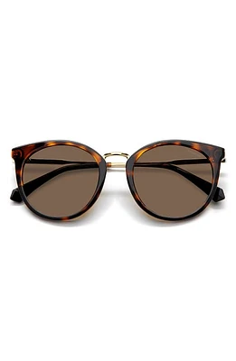 Polaroid 53mm Polarized Round Sunglasses in Havana/Bronze Polar at Nordstrom