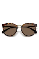 Polaroid 53mm Polarized Round Sunglasses in Havana/Bronze Polar at Nordstrom