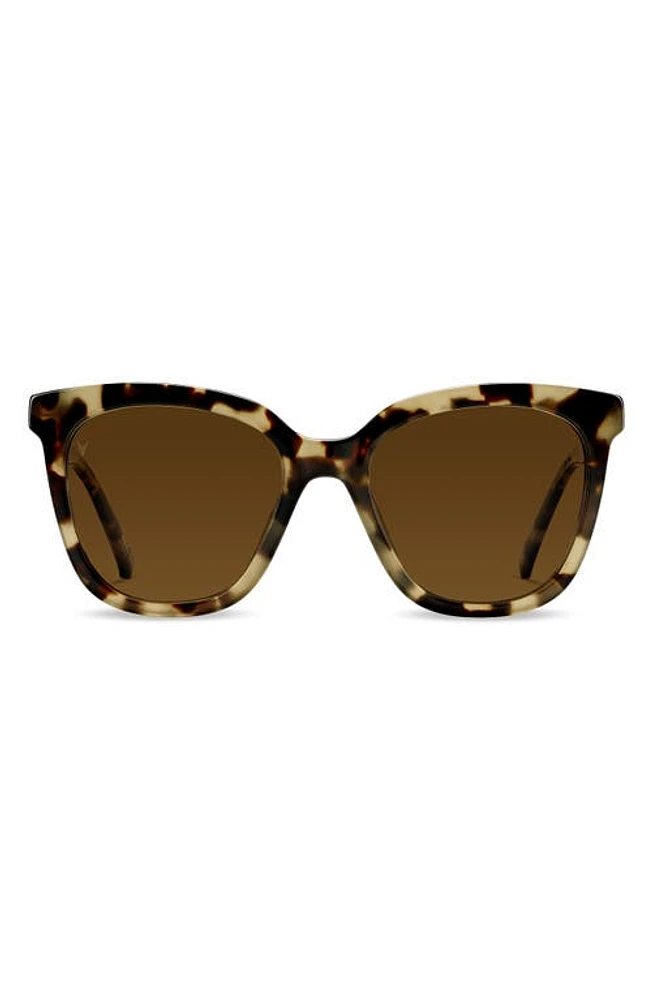 Vincero Ellison 54mm Polarized Round Sunglasses in Havana Brown at Nordstrom