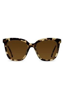 Vincero Ellison 54mm Polarized Round Sunglasses in Havana Brown at Nordstrom