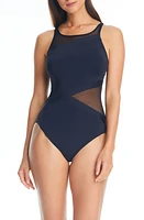 Rod Beattie Don't Mesh One-Piece Swimsuit Black at Nordstrom,