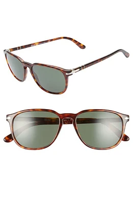 Persol 55mm Square Sunglasses in Havana/Green Solid at Nordstrom