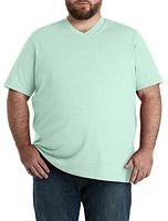 Harbor Bay by DXL Moisture-Wicking Jersey V-Neck T-Shirt at Nordstrom,