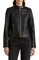 Lauren Ralph Leather Moto Jacket Black at Nordstrom,