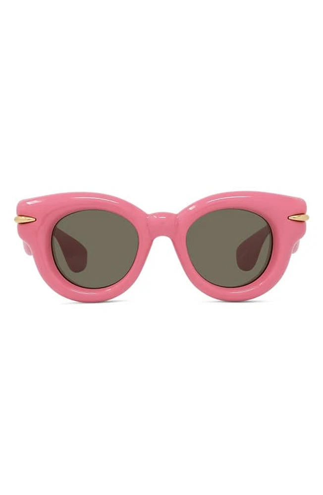 Loewe Inflated Pantos 46mm Small Round Sunglasses in Shiny Pink /Brown at Nordstrom