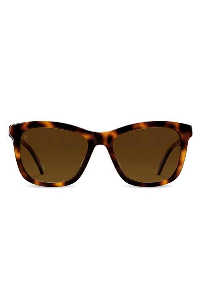 Vincero Emery 56mm Polarized Round Sunglasses in Rye Tortoise Brown at Nordstrom