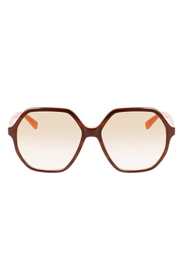 Longchamp 58mm Le Pliage Modified Rectangle Sunglasses in Havana/Rose at Nordstrom