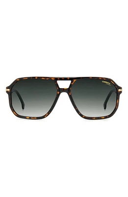 Carrera Eyewear 59mm Rectangular Sunglasses in Havana/Green Shaded at Nordstrom