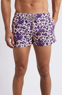 Boardies Cheetah Shortie Swim Trunks Purple Multi at Nordstrom,