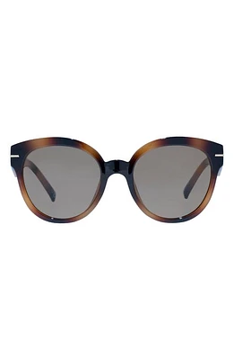 Le Specs Capacious 54mm Round Sunglasses in Tort at Nordstrom