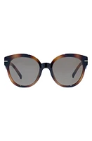 Le Specs Capacious 54mm Round Sunglasses in Tort at Nordstrom