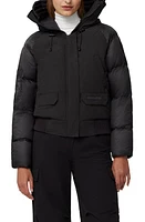 Canada Goose Paradigm Chilliwack Black Label 625 Fill Power Down Bomber Jacket - Noir at Nordstrom,