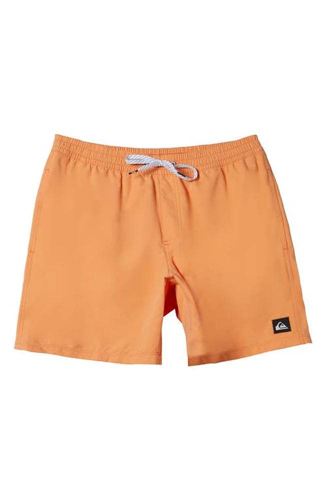 Quiksilver Everyday Solid Volley 14 Swim Trunks at