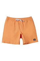 Quiksilver Everyday Solid Volley 14 Swim Trunks at