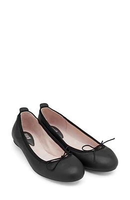 Bloch Nashira Ballerina Flat at Nordstrom,