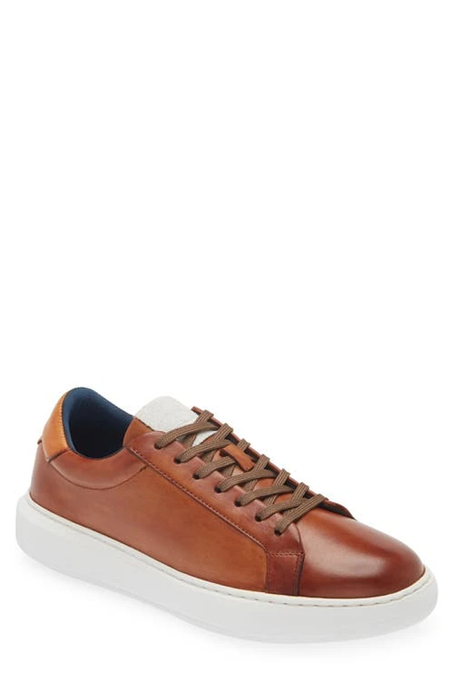 G Brown Puff Low Top Leather Sneaker Tan at Nordstrom,