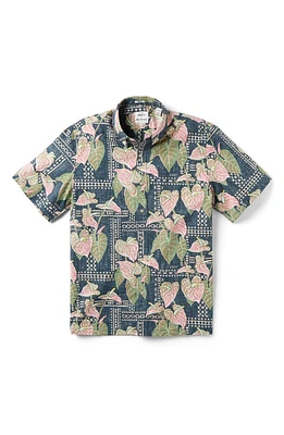 Reyn Spooner x Eddy Y Classic Fit Tapa Anthurium Print Short Sleeve Button-Down Shirt at Nordstrom,