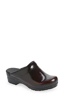 Sanita Sonja Cabrio Clog at Nordstrom,