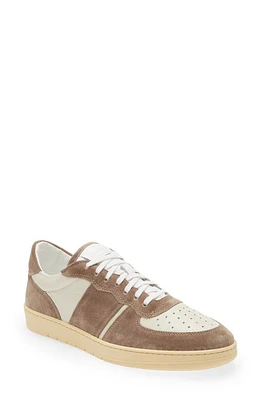 Collegium Pillar Destroyer Low Top Sneaker in White/Brown at Nordstrom, Size 8Us