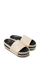 Beek Albatross Stripe Slide Sandal at Nordstrom,