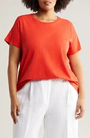 Eileen Fisher Crewneck Organic Cotton at Nordstrom,