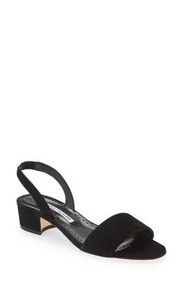 Manolo Blahnik Patopia Slingback Sandal Black at Nordstrom,